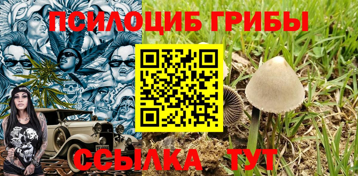 Артёмовский  Псилоцибиновые грибы мицелий  Вход с VPN 